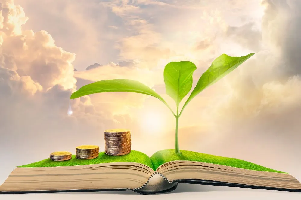 Business Growth Financial Strategy for Sustainable Success